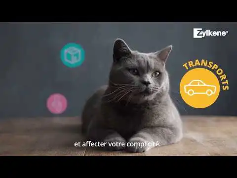 Zylkene Zylkène Chew 450mg Chien De 15 à 60Kg - 14 Bouchées 4 Zylkene Zylkène Chew 450mg Chien De 15 à 60Kg - 14 Bouchées – Image 2