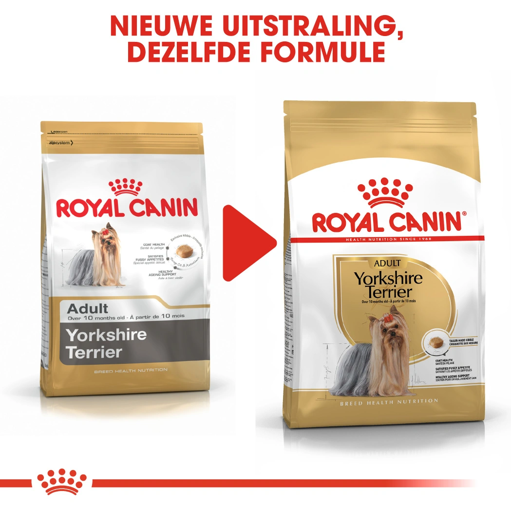 Royal Canin Yorkshire Adult Pour Chien 1,5kg 8 Royal Canin Yorkshire Adult Pour Chien 1,5kg – Image 6