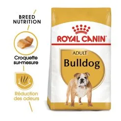 Royal Canin Bulldog Anglais Adult Pour Chien 12kg -ROYAL CANIN Soldes royal canin boulldog anglais adult bulldog bouledogue anglais bulldog 1