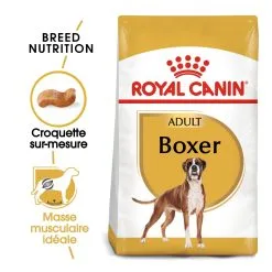 Royal Canin Boxer Adult Pour Chien 12kg -ROYAL CANIN Soldes royal canin boxer adult boxer adulte 1