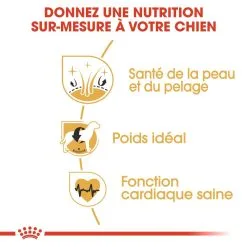 Royal Canin Cocker Adult Pour Chien 12kg -ROYAL CANIN Soldes royal canin cocker adult cocker 2 1