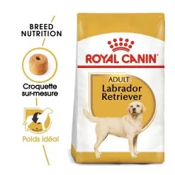 Royal Canin Labrador Retriever Adult Pour Chien 12kg 9 Royal Canin Labrador Retriever Adult Pour Chien 12kg -ROYAL CANIN Soldes royal canin labrador retriever adult croquettes pour chien labrador retriever adulte 1