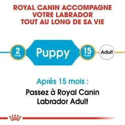 Royal Canin Labrador Retriever Chiot Pour Chien 12kg -ROYAL CANIN Soldes royal canin labrador retriever puppy labrador retriever junior 3