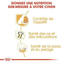 Royal Canin Labrador Retriever Sterilised Adult - 12Kg -ROYAL CANIN Soldes royal canin labrador retriever sterilised adult croquettes pour chien labrador retriever sterilised adult 2