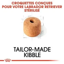 Royal Canin Labrador Retriever Sterilised Adult - 12Kg -ROYAL CANIN Soldes royal canin labrador retriever sterilised adult croquettes pour chien labrador retriever sterilised adult 3