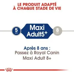 Royal Canin Maxi Adult 5+ Pour Chien 10kg -ROYAL CANIN Soldes royal canin maxi adult croquettes pour chien maxi adult 2 2