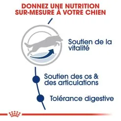 Royal Canin Maxi Adult 5+ Pour Chien 10kg -ROYAL CANIN Soldes royal canin maxi adult croquettes pour chien maxi adult 3 2