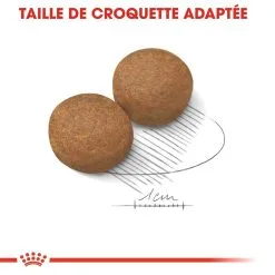 Royal Canin Maxi Adult Pour Chien 15kg 11 Royal Canin Maxi Adult Pour Chien 15kg -ROYAL CANIN Soldes royal canin maxi adult croquettes pour chien maxi adult 3