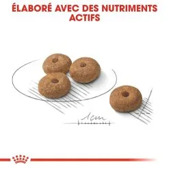 Royal Canin Sterilised Mini Adult Pour Chien 8kg -ROYAL CANIN Soldes royal canin mini sterilised croquettes pour chien mini sterilised 2 2